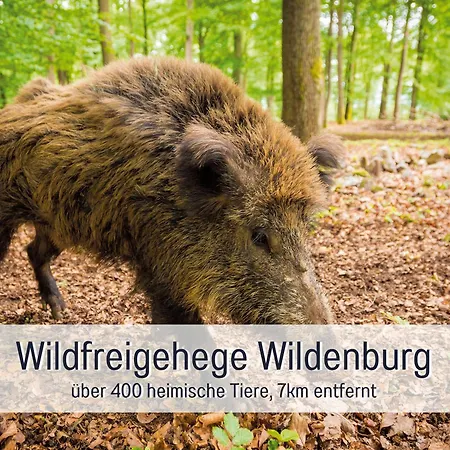Heimat Am Nationalpark