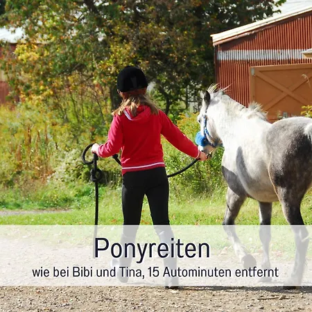 Heimat Am Nationalpark Allenbach