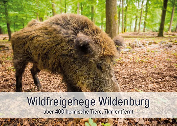 Heimat Am Nationalpark