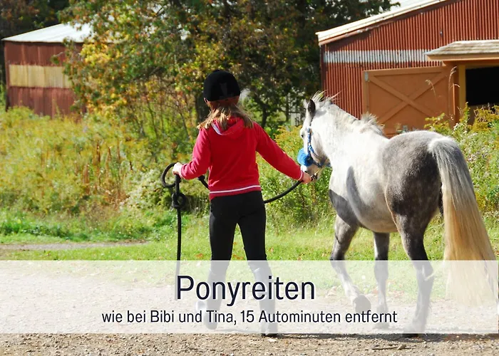 Heimat Am Nationalpark Allenbach